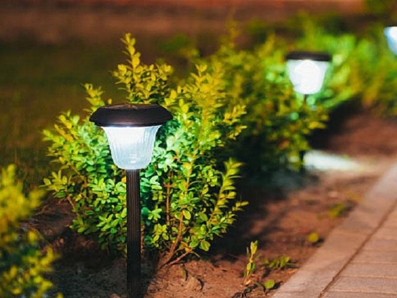 Landscape Lighting​